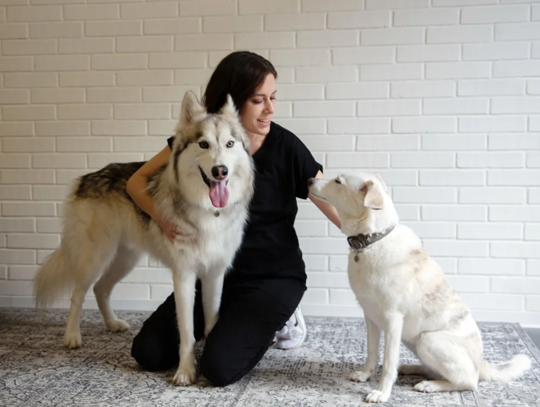 Warum Fellpflege für deinen Hund so wichtig ist  und warum der Besuch im Hundesalon dazugehört