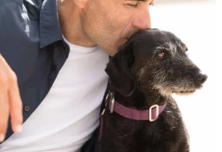 José Arce Die stille Sprache, die alles verbindet