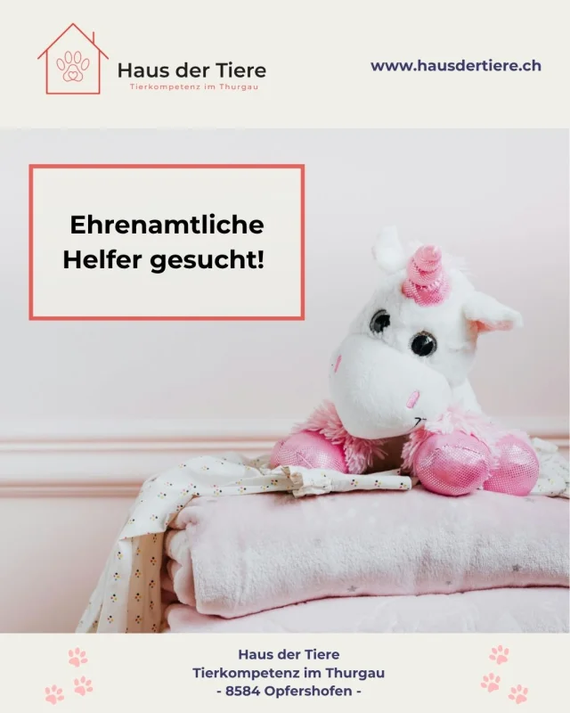 Freiwillige gesucht – Werde Teil des Haus der Tiere und unterstütze heimatlose Tiere durch aktive Hilfe! 