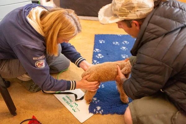 DIE   DORNTHERAPIE FÜR HUNDE