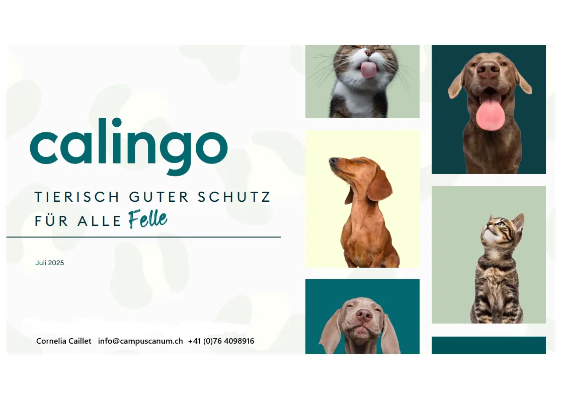 Tierisch gut geschützt von Schnauze bis Pfote