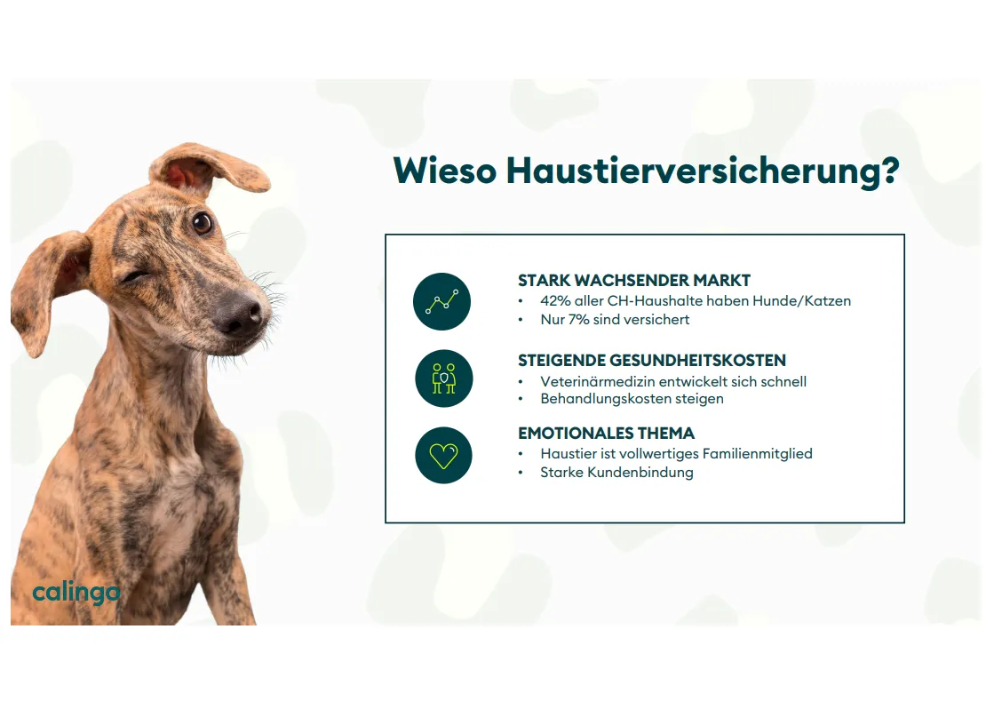 Vorschau 3