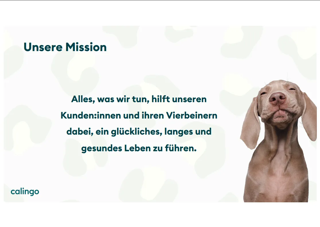 Vorschau 4
