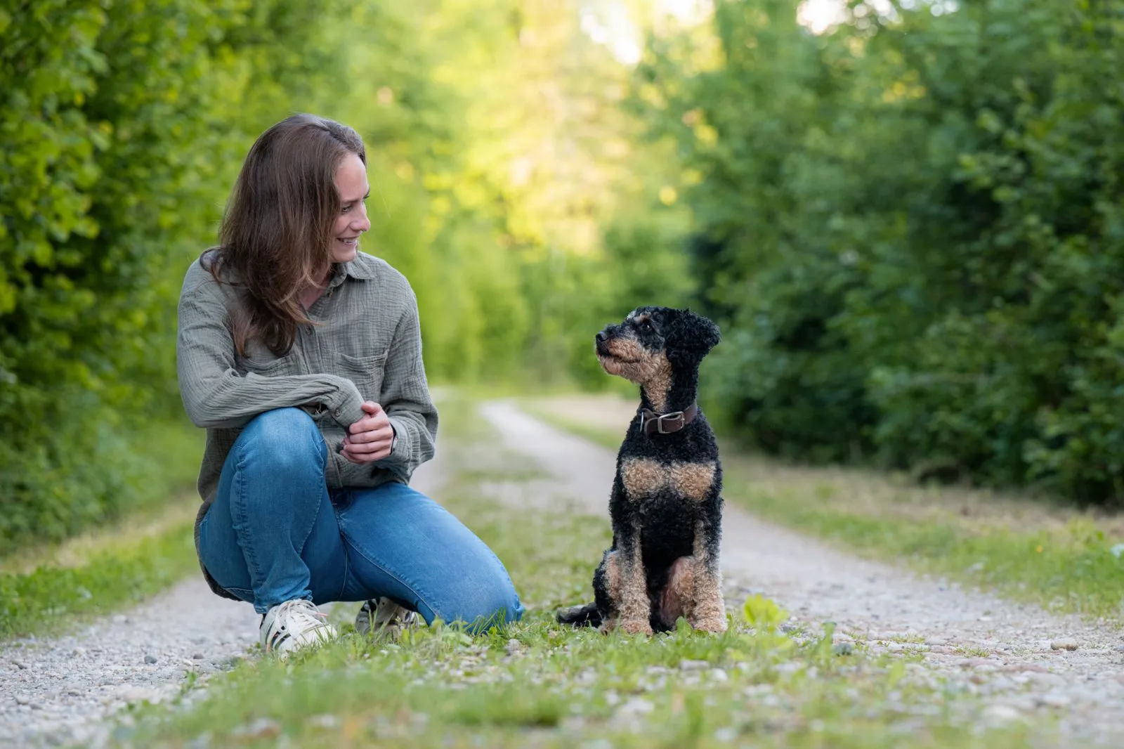 Schweiz: Vergünstigte Fotosession für kurzhaarige Hunde