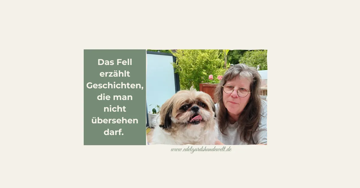 🐾 Fellgesundheit von innen – mit Herz & Verstand