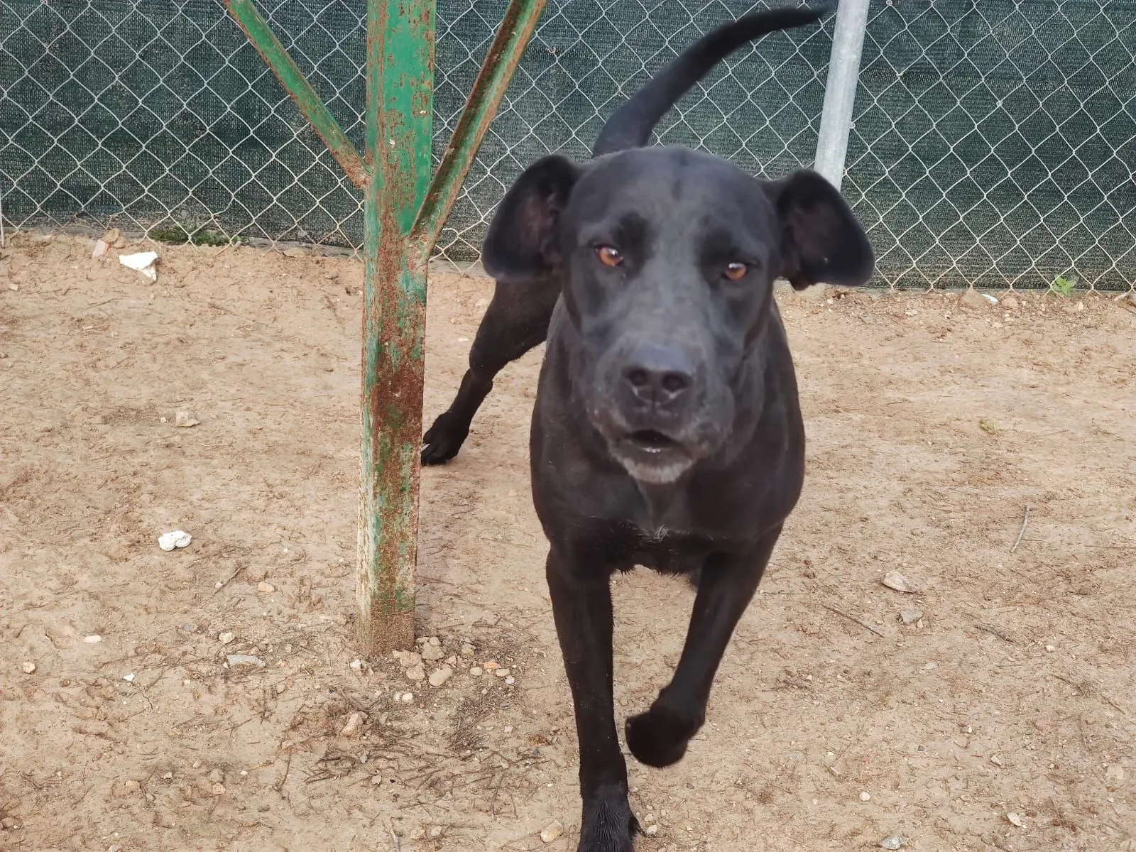 Die hübsche und intelligente Sella – ein so tapferes Mädchen