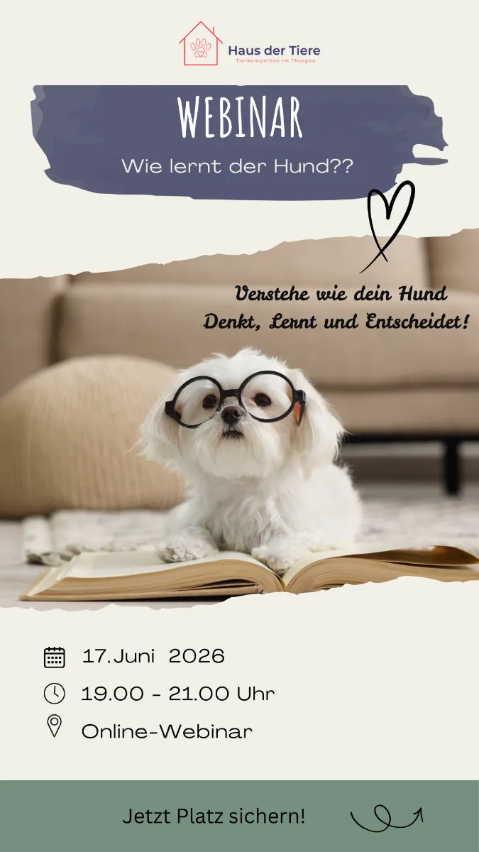 Webinar - Wie lernt der Hund?