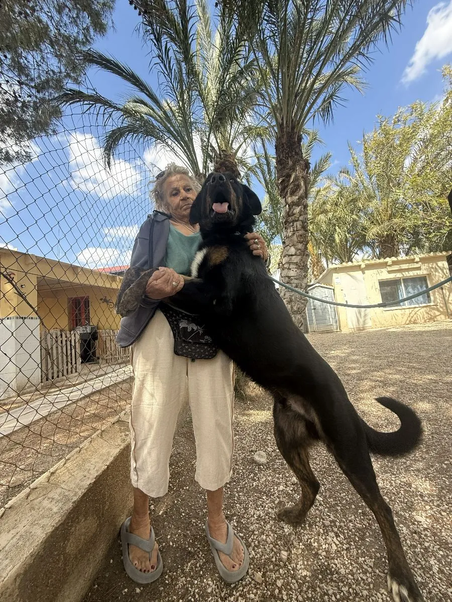 Vorschau 2