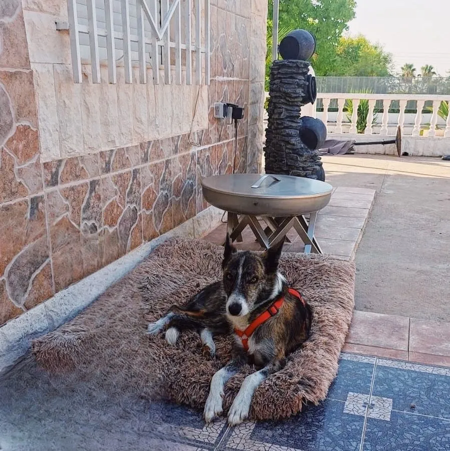 Anika – braucht dich JETZT!