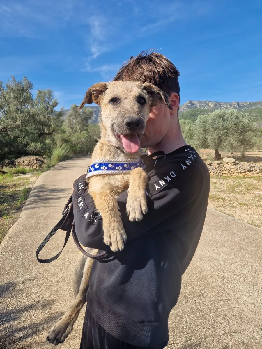 Cala – eine selbstsichere, kluge Wasserratte sucht ihr Zuhause