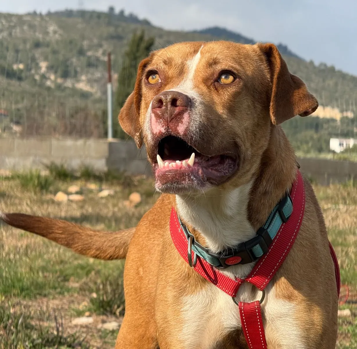 Paula – sie hat das Schlimmste überlebt. Hofft, wartet. Aber niemand sieht sie. Warum?