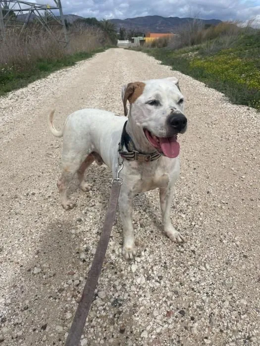 Richelie – in seinen Augen spiegelt sich das Herz!