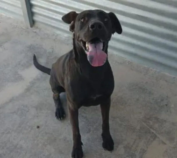 Die hübsche und intelligente Sella – ein so tapferes Mädchen