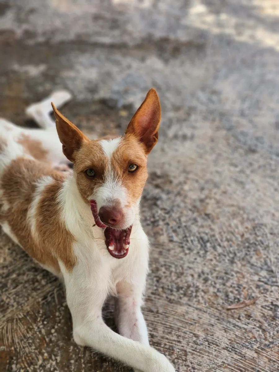 Ursula – jung, sanft, voller Sehnsucht nach einem Zuhause