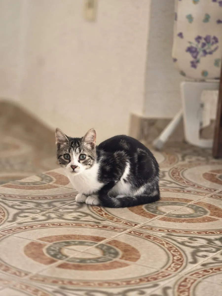 Darf ich dir Buby vorstellen? Unser kleiner Entdecker mit großem Herz und noch größerem Mut