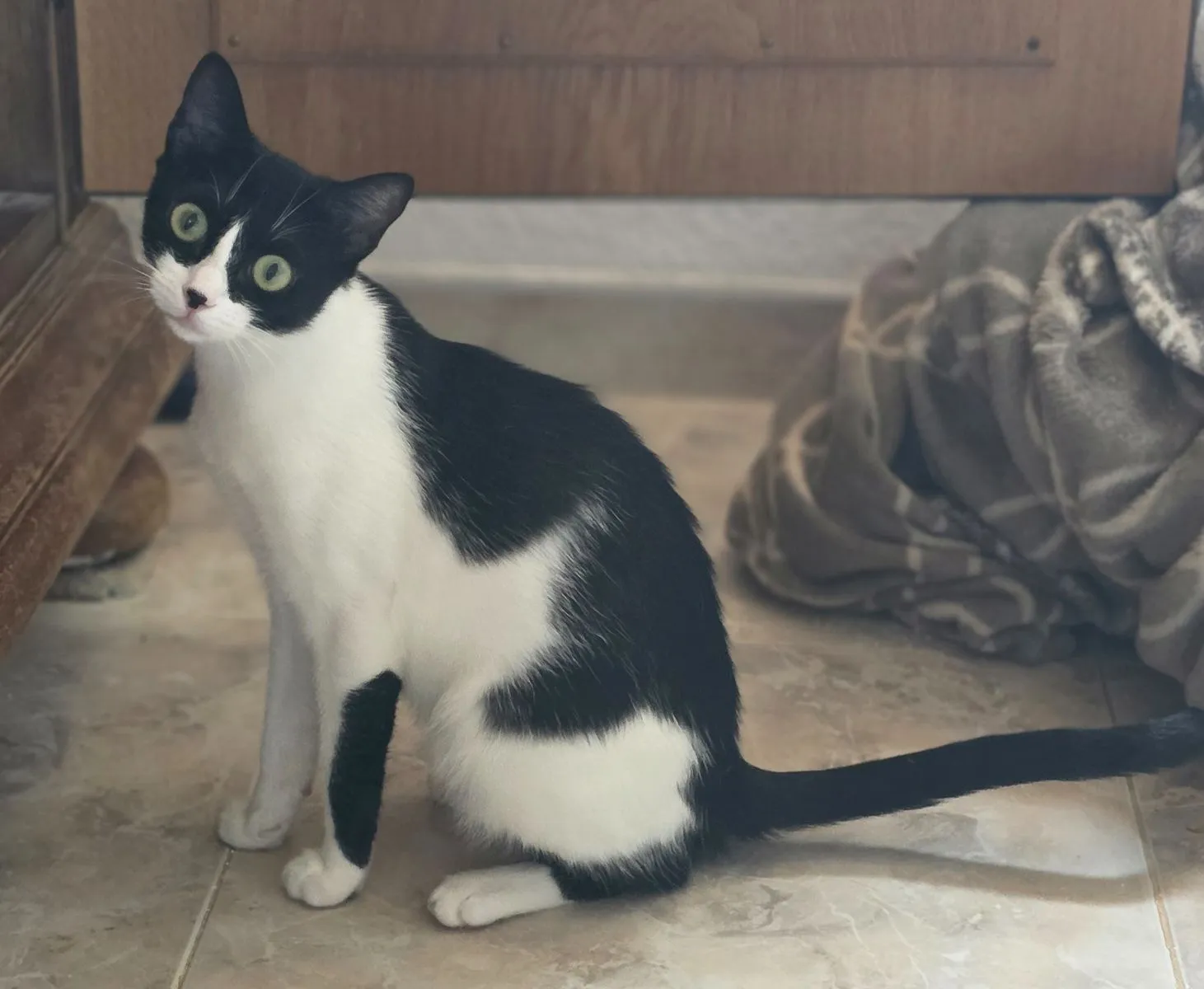 Coco – diese Augen… zum Verlieben!