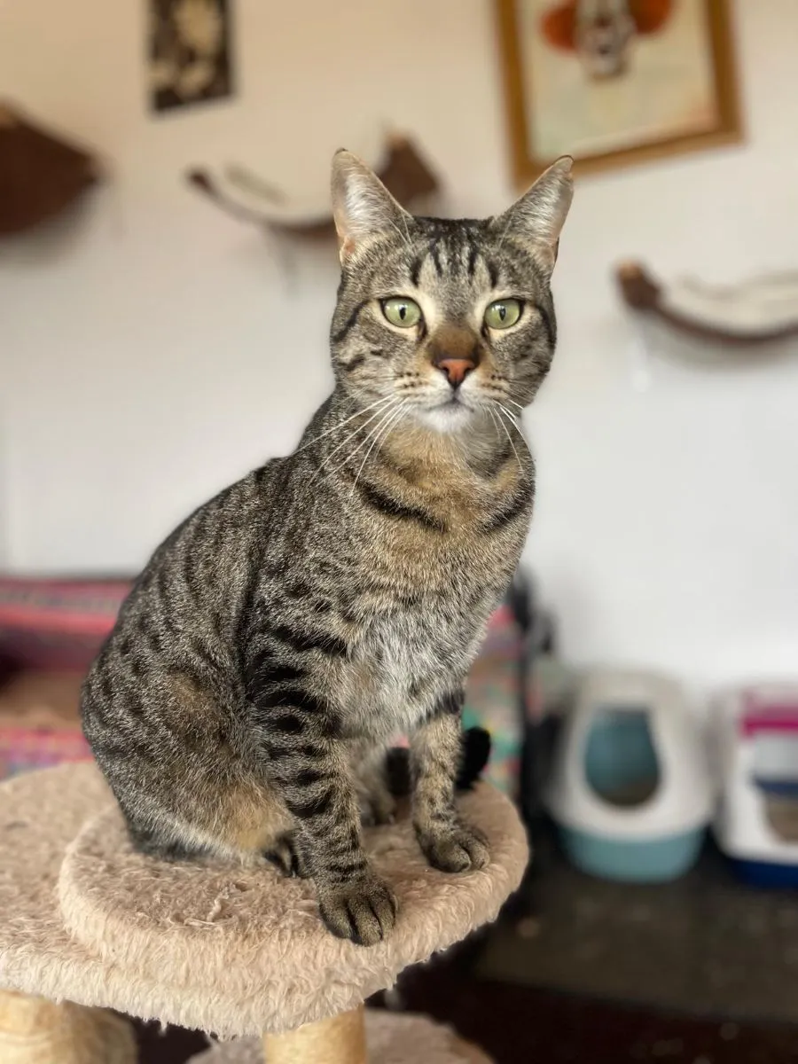 Roger, Charmeur mit Charakter sucht sein Königreich!