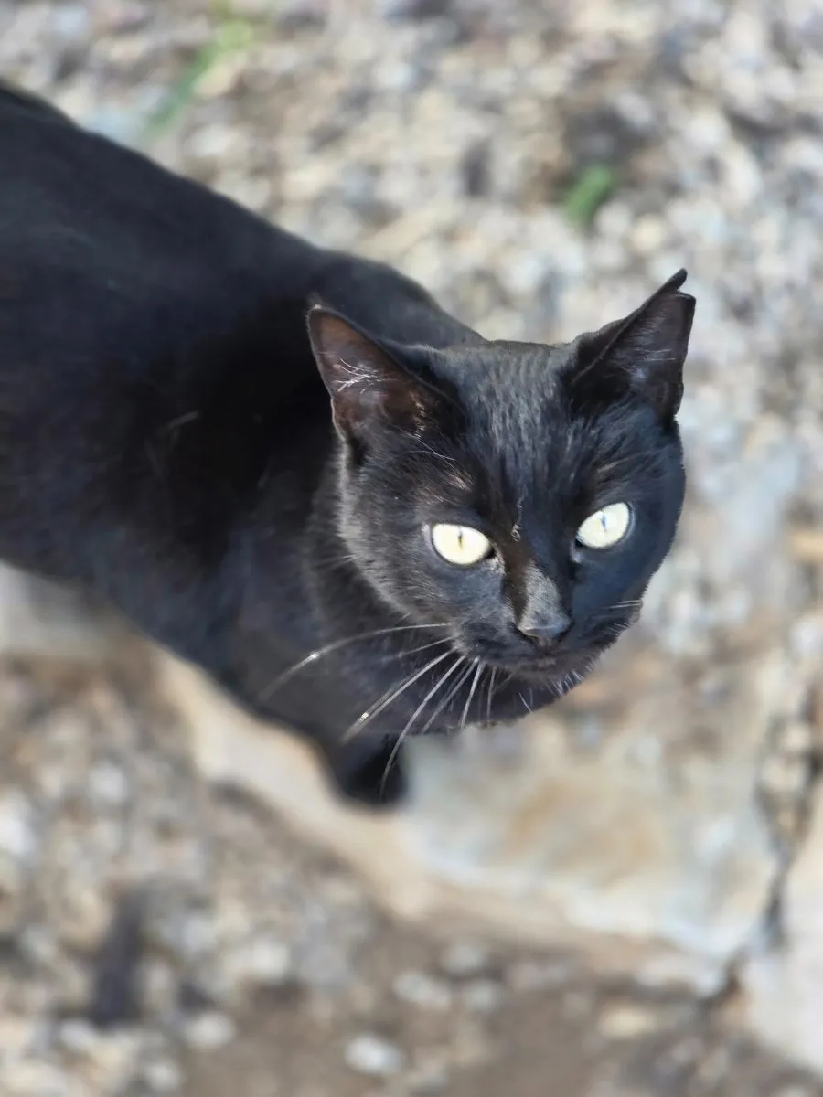 Milagra wartet ..und wartet.. doch nimand fragt nach ihr.