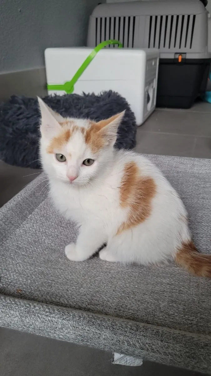 Natco&Mento -zwei unzertrennliche Brüder mit einem grossen Herzen