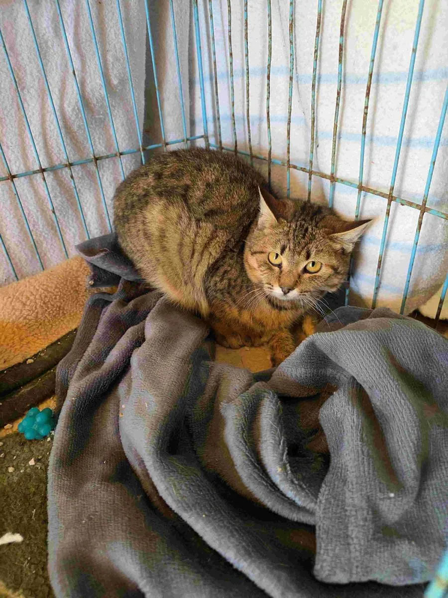 Mandy – hat so schlimmes überlebt, jetzt soll sie ankommen dürfen!