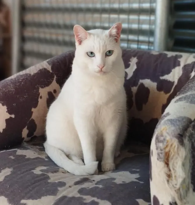 Marvin - so viel Angst im Herzen – und doch so viel Liebe zu geben