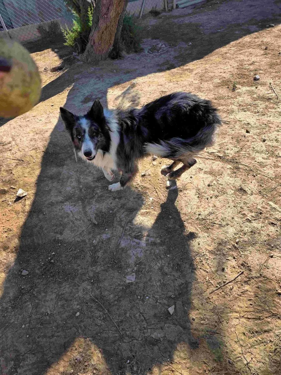 Bali – bereit für Bewegung, Bindung und Abenteuer