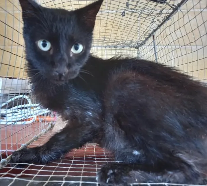 Ladino – Immer dabei, immer nahe bei dir