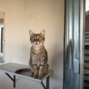 Shena- Gefunden ohne Vergangenheit, mit Hoffnung auf Zukunft