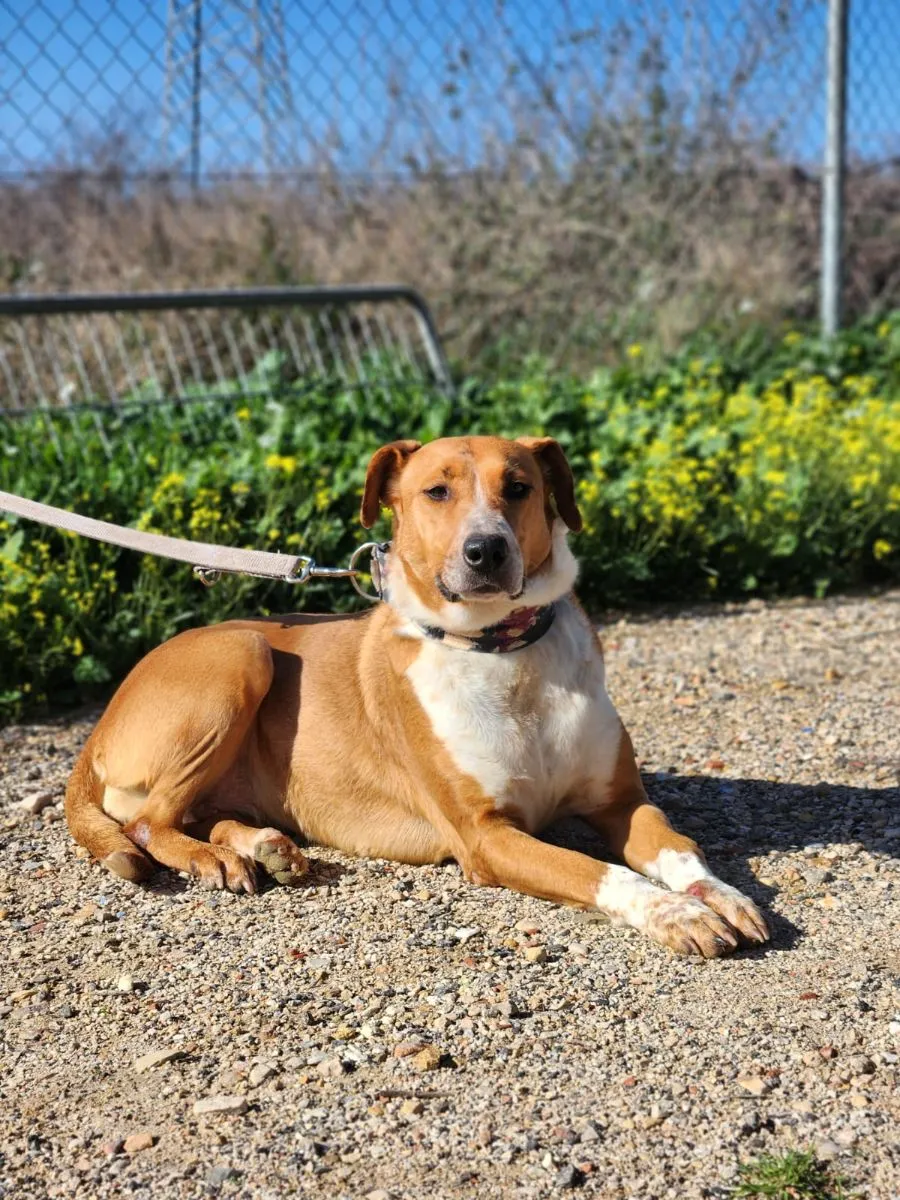 Thalia – spielt sich nicht in der Vordergrund – aber ins Herz