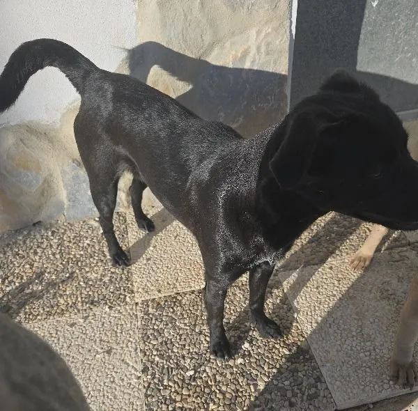 Wendy – ein junges Herz, das die Welt erst entdecken lernt