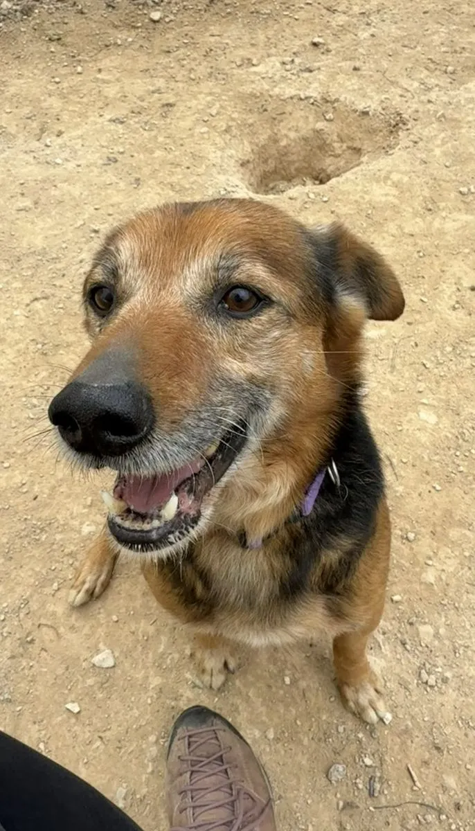 Camillo - unser Senior Charmeur