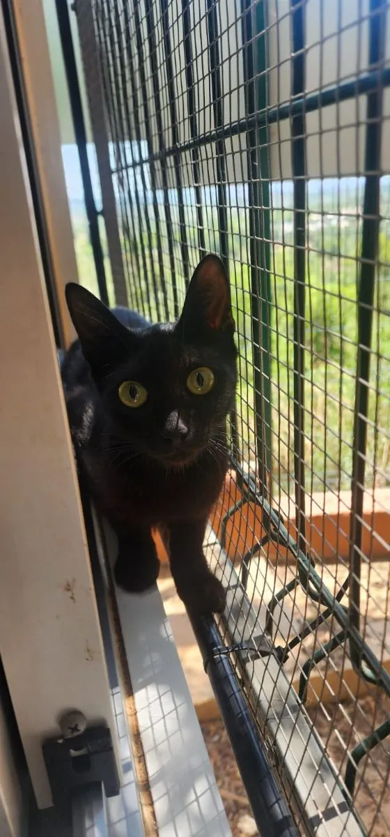 Chanel- auf der Suche nach ihrer Familie