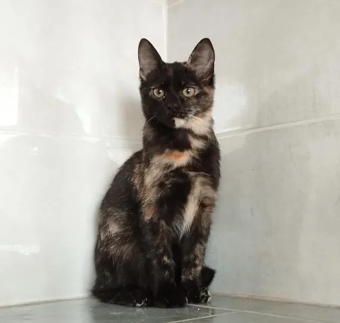 Gauna – mit ihr zieht leise das Glück bei dir ein