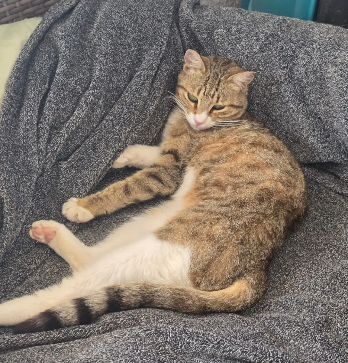 Mari-  vorsichtig, feinfühlig und voller Liebe