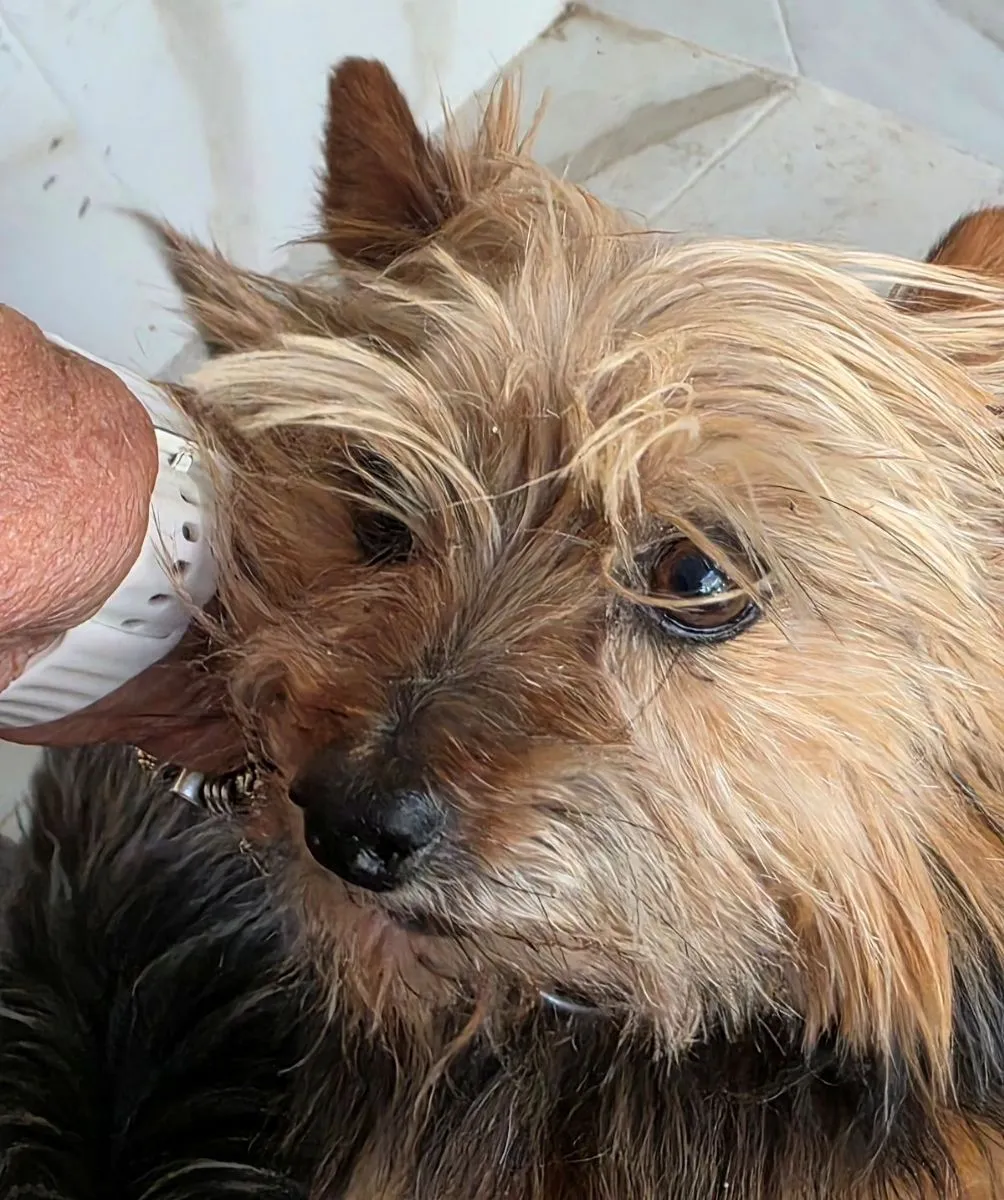 Alea - kleines Mädel sucht ihre Familie