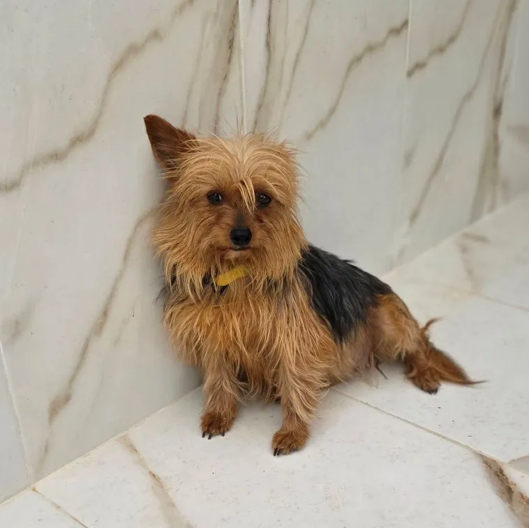 Farah- sucht nach der Geburt ihrer Babys ein Zuhause