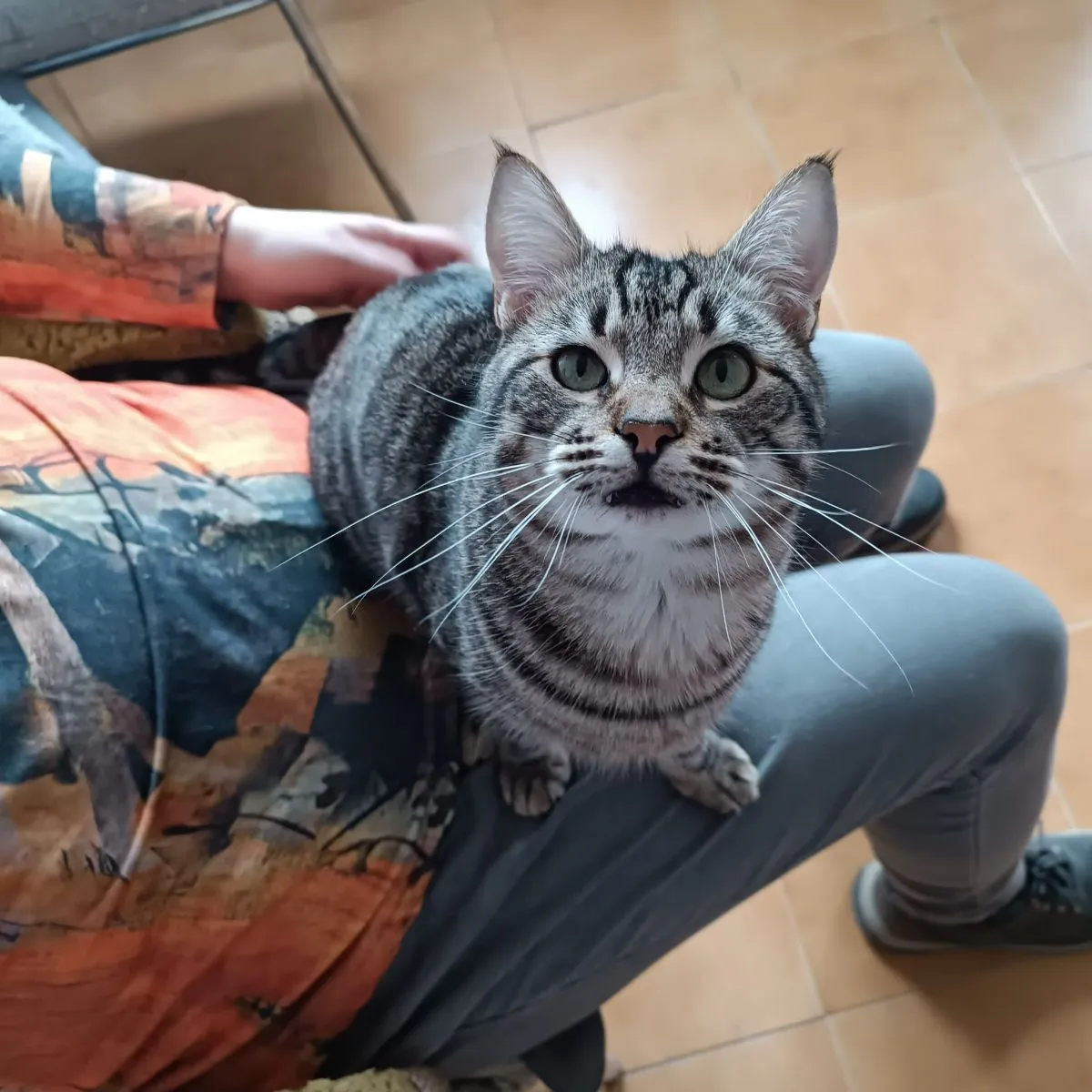 Vorschau 5