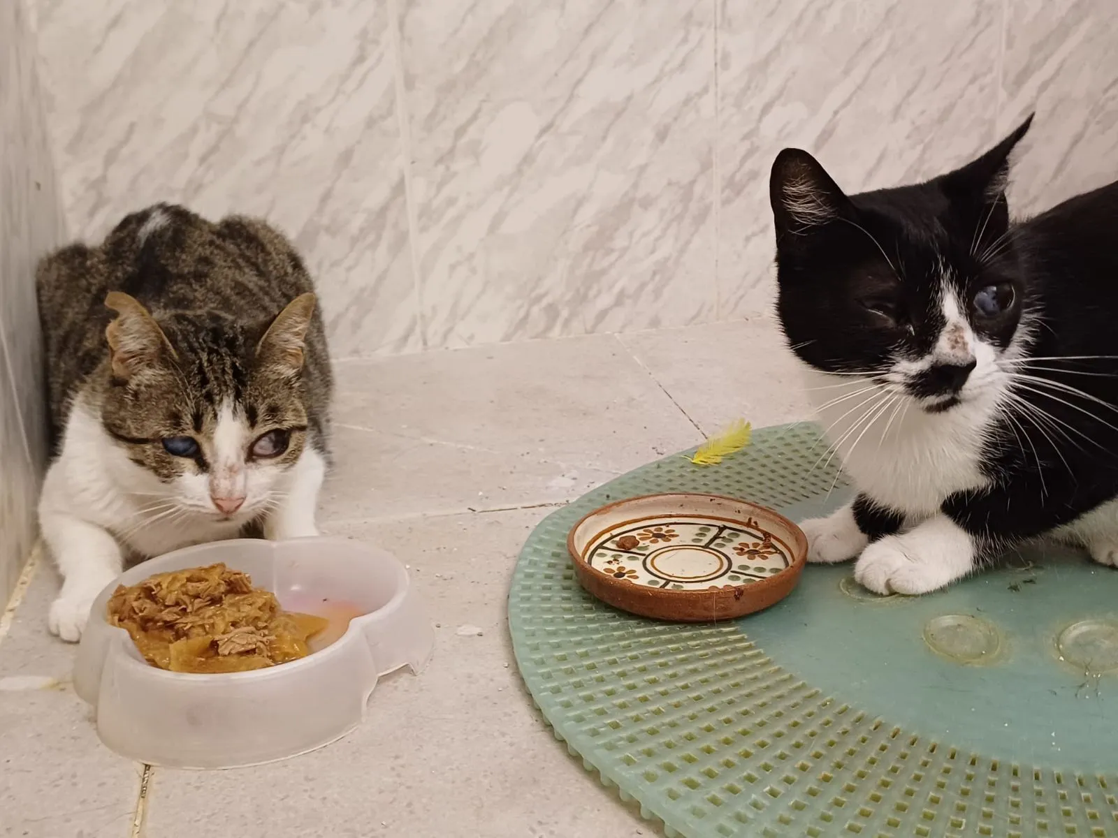 Frida und Emma – die Welt sehen sie mit dem Herzen