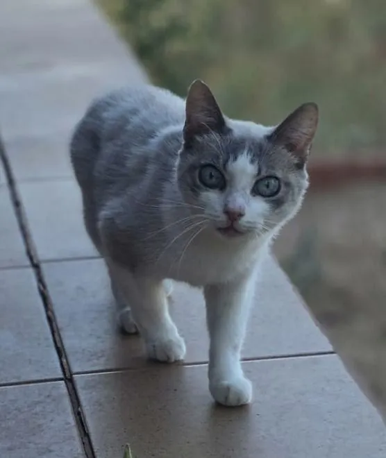 Lilly - ihre wunderschönen Augen schauen dir direkt ins Herz