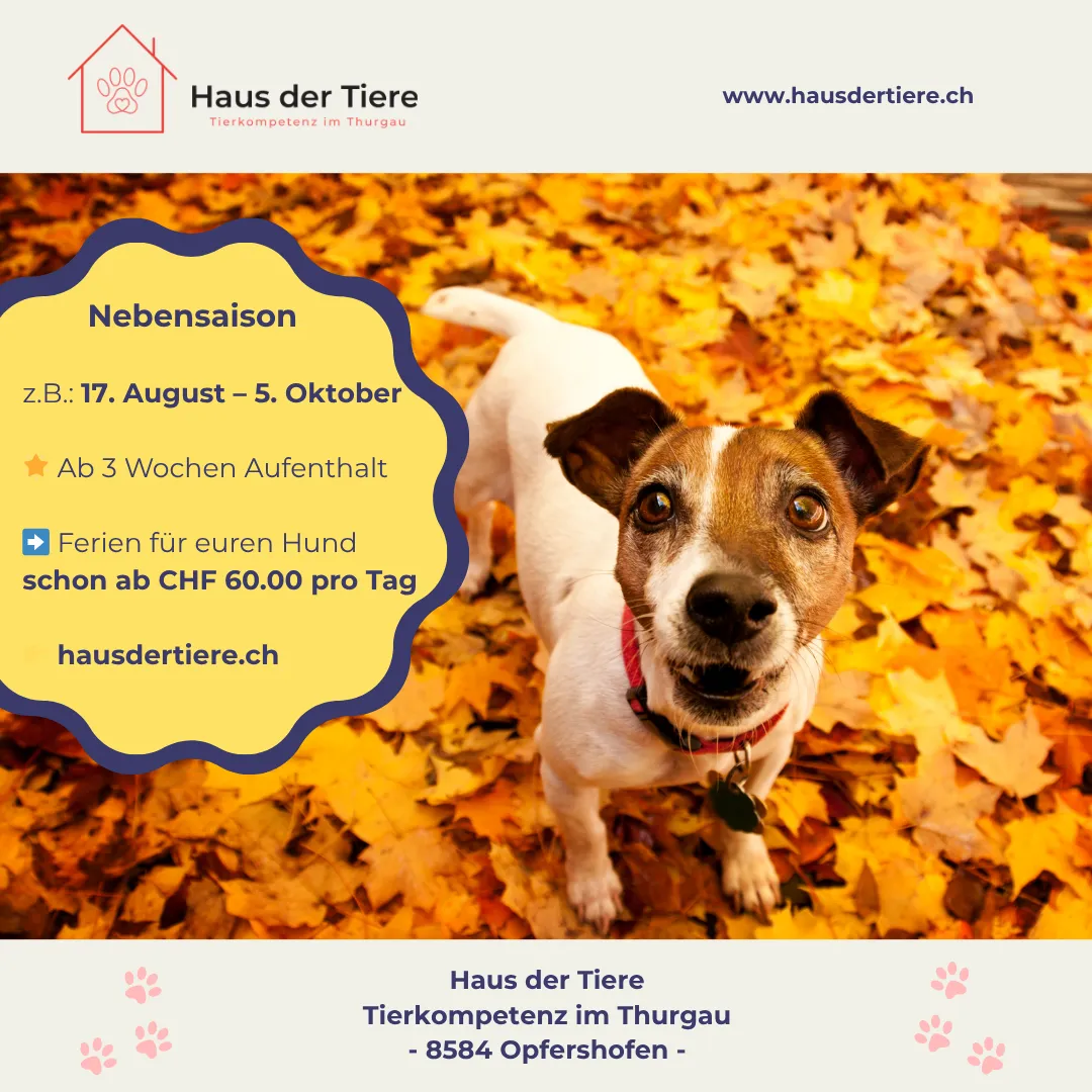 ganzheitliche Ferienbetreuung für Ihr Haustier