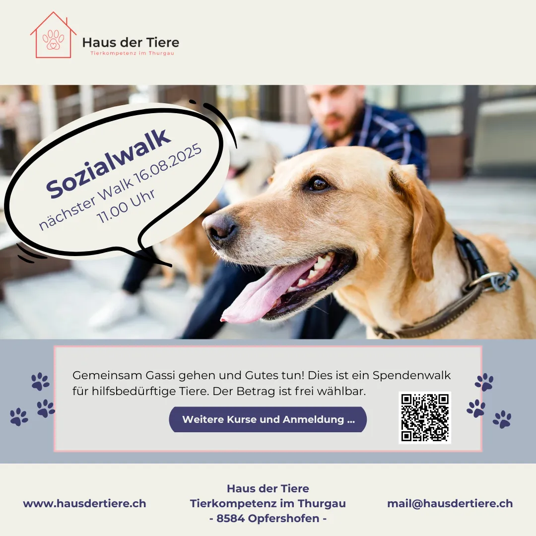 Sozialwalk für den Tierschutz