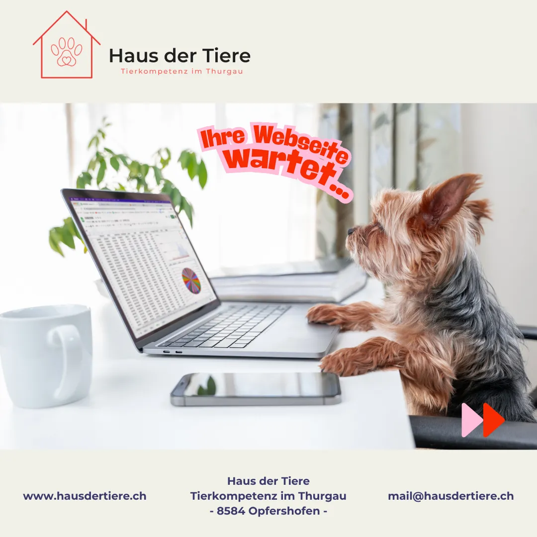Deine Webseite – mit Unterstützung vom Haus der Tiere!