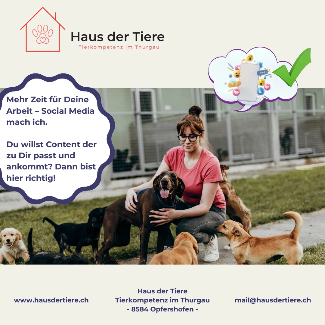 Du kümmerst dich um Tiere – ich kümmere mich um deine Social Media.