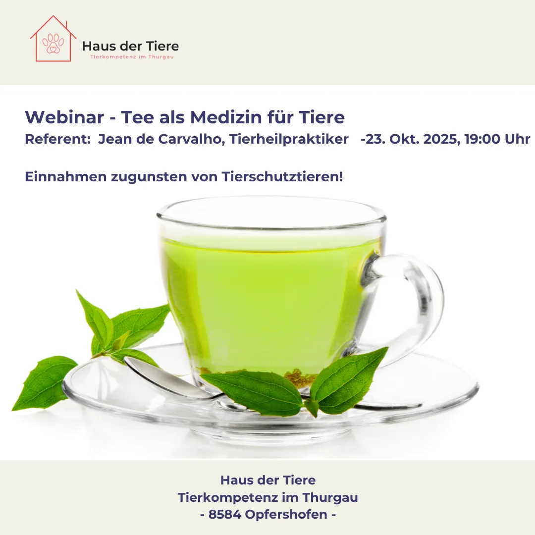 Tee als Medizin für Katze und Hund