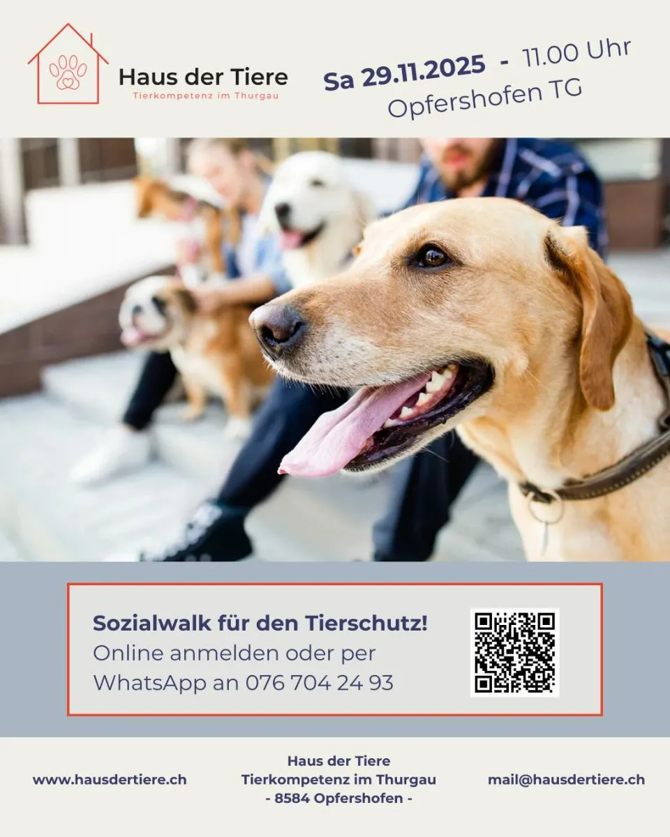 Sozialwalk für den Tierschutz am Haus der Tiere