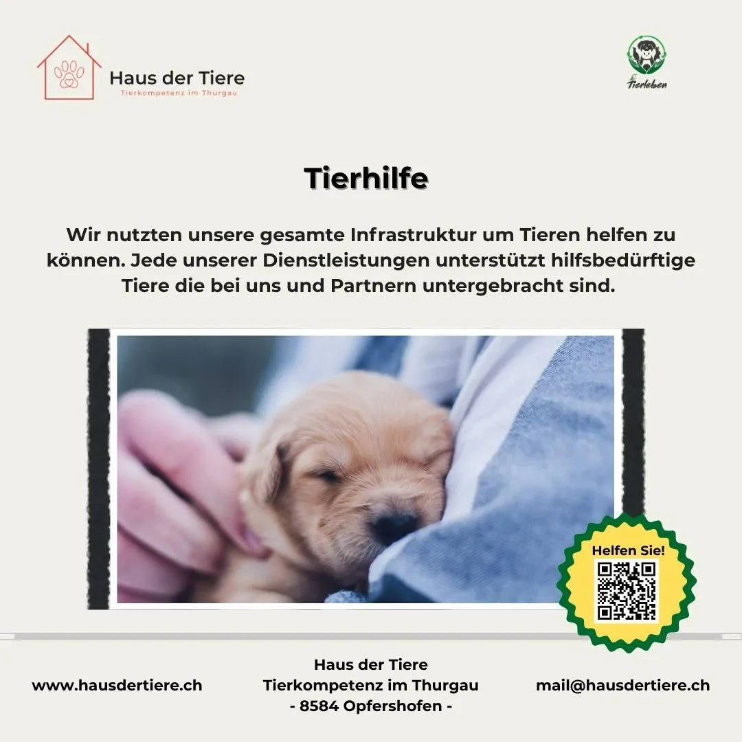 Platz für heimatlose Tiere