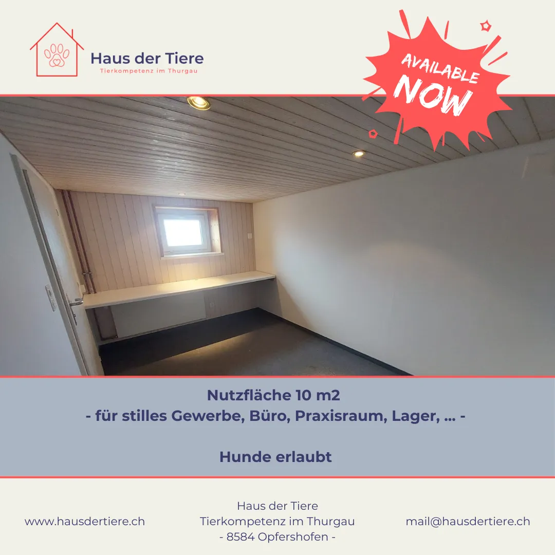 ⭐️ Kleiner Lagerraum / Büro – Hund willkommen ⭐️