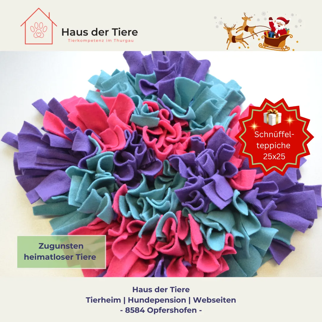Schnüffelteppiche zugunsten heimatloser Tiere