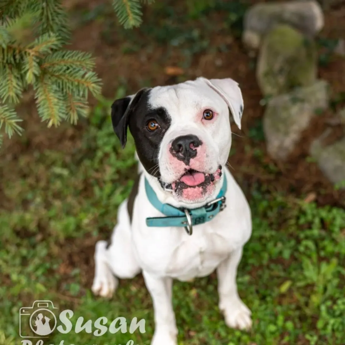 Liebessüchtiger Sturkopf sucht erfahrene Menschen