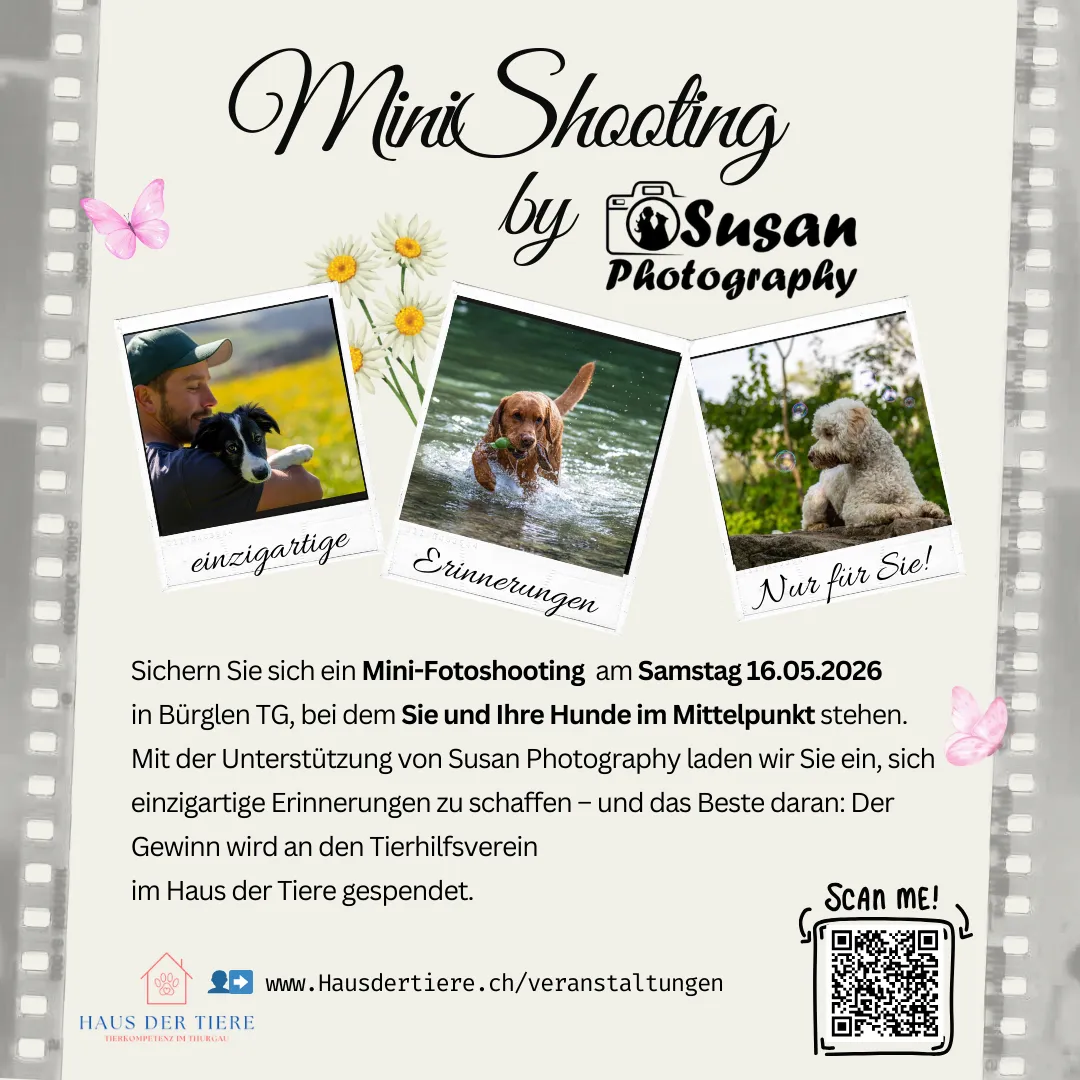 MiniShooting by SusanPhotography